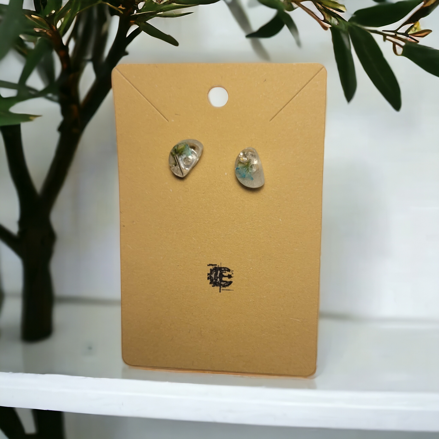 Silver Stud Earrings