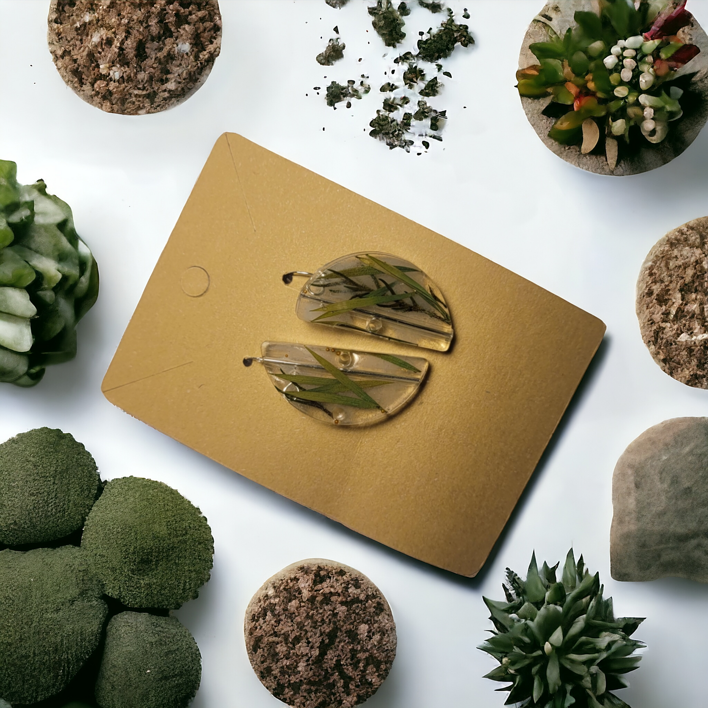 Silver Hooked Earrings