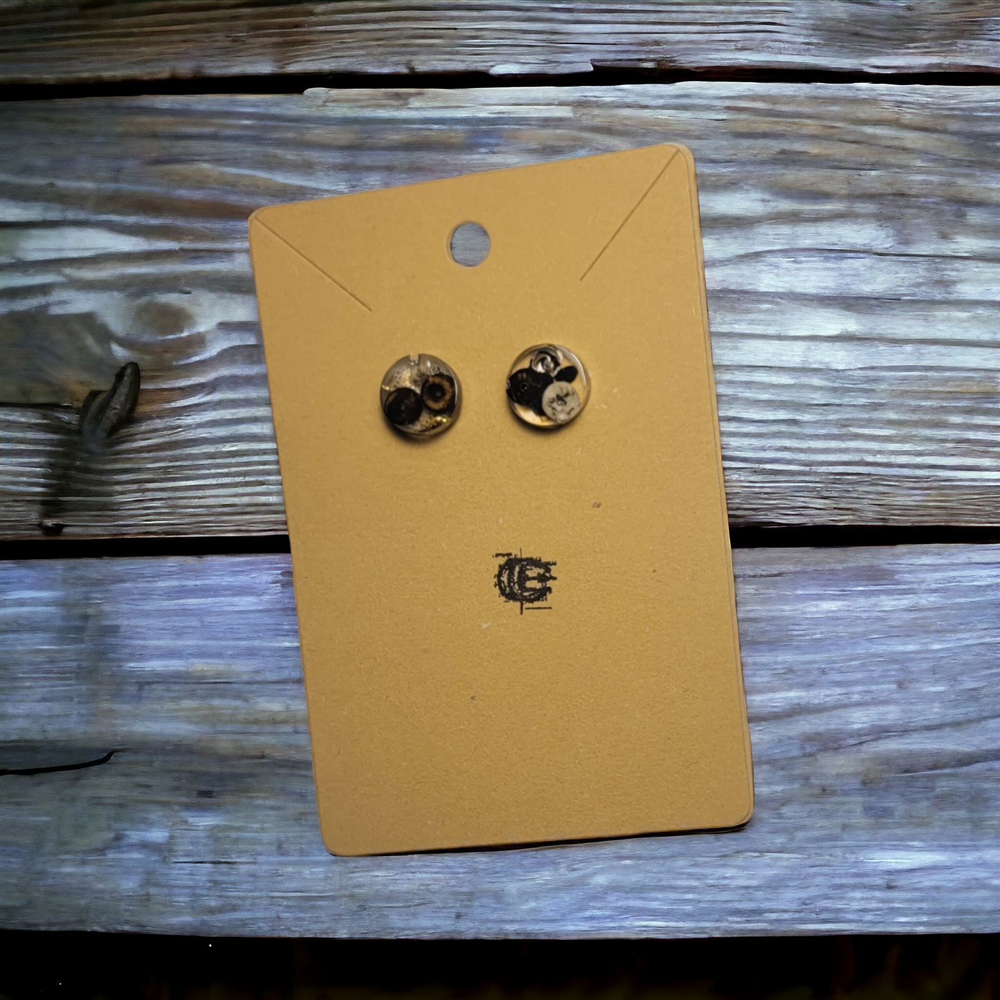 Silver Stud Earrings